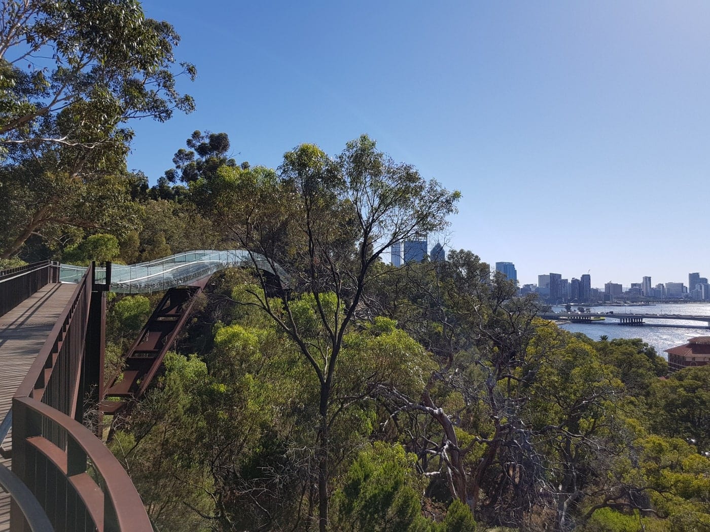 Kings Park & Botanic Garden in Perth